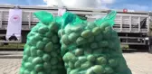 Ardahanlı çiftçilere kavılca buğdayı tohumu ve tohumluk patates dağıtıldı