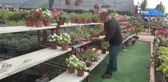 Artan çiçek satışları bu sefer yüz güldürmedi