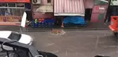 Sağanak yağış sonrası Develi'de caddeler göle döndü