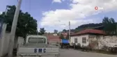 Aydın'da leylek sayımları tamamlandı