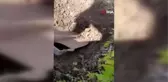 Bahçede toprağı kazarken 