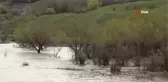 Kars'ta ağaçlar baraj suları altında kaldı