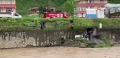 Trabzon'da dereye düşen karaca kurtarıldı