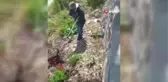 Yaralı tilkiyi itfaiye kurtardı