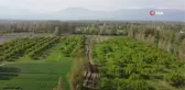Iğdır'daki İrem Bağları'nda bahar