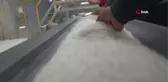 Dr. Öğr. Gör. Banu Süzen: 