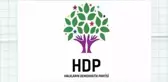 HDP, Yeşil Sol Parti mi? HDP hangi partinin devamı? Yeşil Sol Parti hangi partiler?