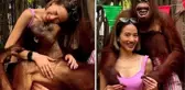 Hayvanat bahçesine giden genç turist orangutanın yaptıklarıyla şaşkına döndü