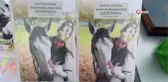 Türkiye'de bir ilk: Çerkes kültürünün yaşatıldığı köy kitap oldu