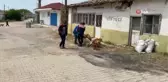 Jandarma'dan sokak hayvanlarına şefkat eli