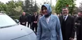 Vali Yiğitbaşı: 