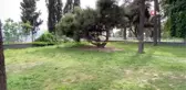 Lise öğrencilerinin kavgası hastanede bitti