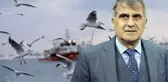 Şenol Güneş'in martılarla ilgili sözleri sonrası sosyal medya yıkıldı: Parti kursa yüzde 10 oy alır