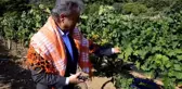 Bornova'da Hedef 50 Milyon Atalık Tohum