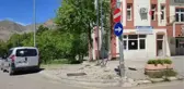 Erzurum'da kelebek göçü böyle görüntülendi