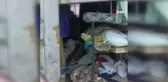 Ayılar yayla evini talan etti