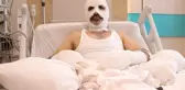 Grip olduğu için gaz kaçağını fark edemeyen adamın hatasının bedeli ağır oldu