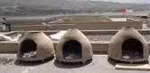 Tarihin gölgesinde 