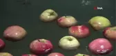 Amasya'da Meslek Lisesinde Meyve Kurutma Tesisi Kuruldu