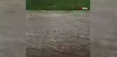 Sağanak sele dönüştü, tarım arazileri zarar gördü