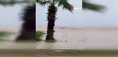 Antalya'da Şiddetli Yağmur Hayatı Felç Etti