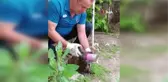 Kafası konserve kutusuna sıkışan kedi kurtarıldı