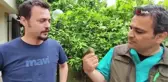 Tedavi edilen yaralı ağaç kamışçını göç yolculuğuna kaldığı yerden devam etti