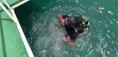 Boğsak Adası çevresinde zengin biyoçeşitlilik gözlendi
