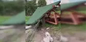 Sarıkamış'ta rüzgar ağaçları yerinden söktü