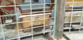 Arı kovanlarını dağıtan ayıdan geriye pençe izleri kaldı