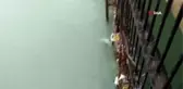 Sulama kanalına devrilen araçtaki 2 kardeş hayatını kaybetti