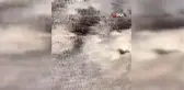 Yaz Yağışları Sivrisinekleri Kontrolden Çıkardı
