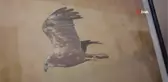 Çektiği doğa fotoğrafları lösemili çocukların umudu oldu