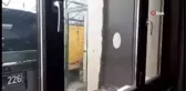 Oğula çıkan kraliçe arı yüzlerce arıyı daha beraberinde getirdi