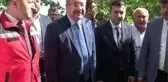 Osmaniye'de ihracatlık kiraz hasadı başladı