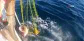 50 kiloluk dev fener balığı yakaladı