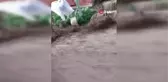 Aliağa'yı sağanak vurdu: Taşan dere eski köprüyü yıktı