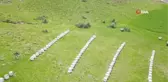 Bitlis Balı Dünya Birincisi Oldu