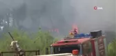 Antalya'da konteyner yangını ormanlık alana sıçradı