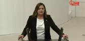CHP Grup Başkanvekili Burcu Köksal, AKP'lilere tepki gösterdi