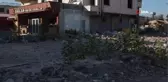 Enkazdan umut yeşerdi... Yıkılan binaların üzerinde ayçiçeği ve mısır yetişmeye başladı