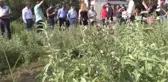 Meslek Liselilerden Tarımsal Üretime Destek