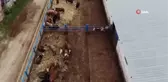 Kurbanlık seçimi ve kesiminde önemli hususlar