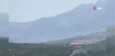 Manisa'da orman yangını