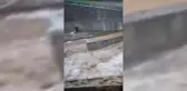 Rize'de Hemşin Deresi taştı