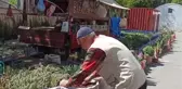 Çiçekçi Dede, Kendi Yetiştirdiği Fidelerle Ekonomik Gelir Elde Ediyor