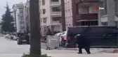 Tokat'ta saldırgan karga mahalle sakinlerinin korkulu rüyası oldu