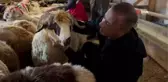 Vali Sonel, kurban bayramında yetim ve öksüzleri unutmadı