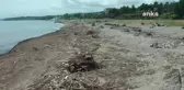 Akçakoca sahili odun ve çöp yığınlarıyla dolu