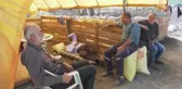 Ankara'da Kurbanlıklar Besicilerin Elinde Kaldı: 